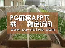 环境展示五