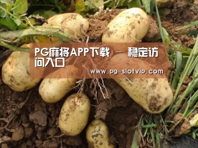 种植基地六