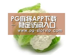 产品名称九