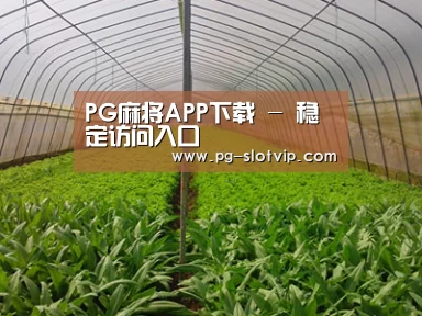 种植基地四