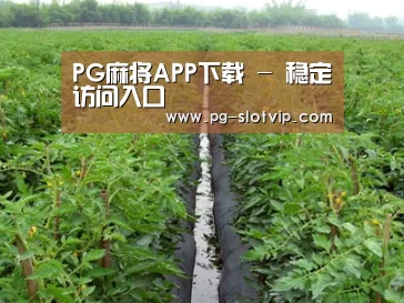 种植基地三