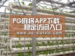 环境展示六