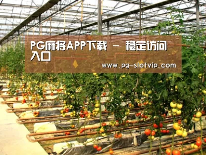 种植基地二(图1)
