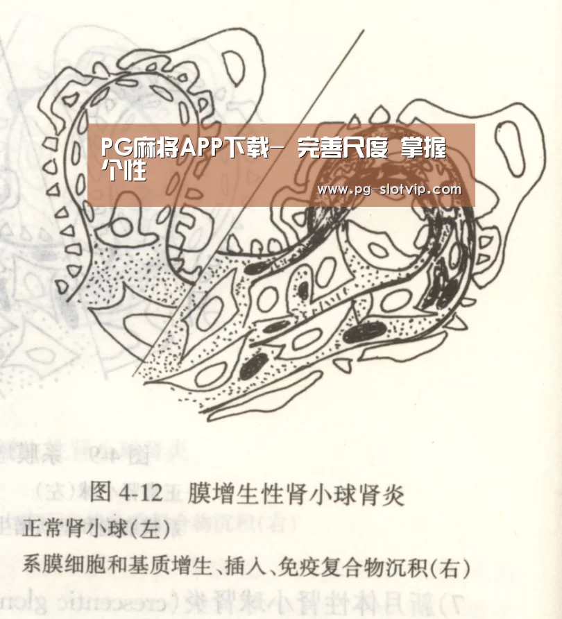 PG麻将APP下载-
完善尺度 掌握个性(图2) PG真人娱乐