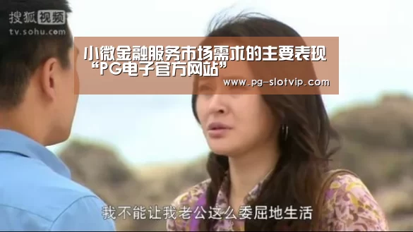 小微金融服务市场需求的主要表现“PG电子官方网站”(图1) PG麻将在线玩