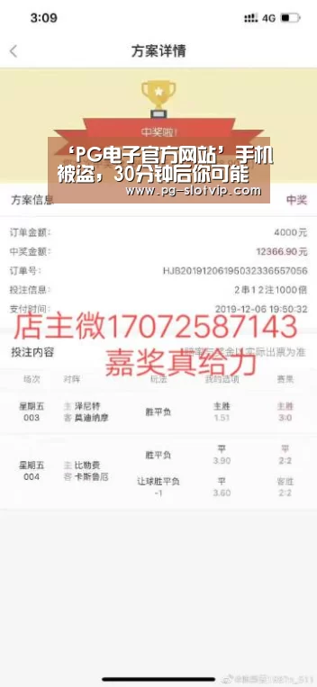 PG电子官方网站
